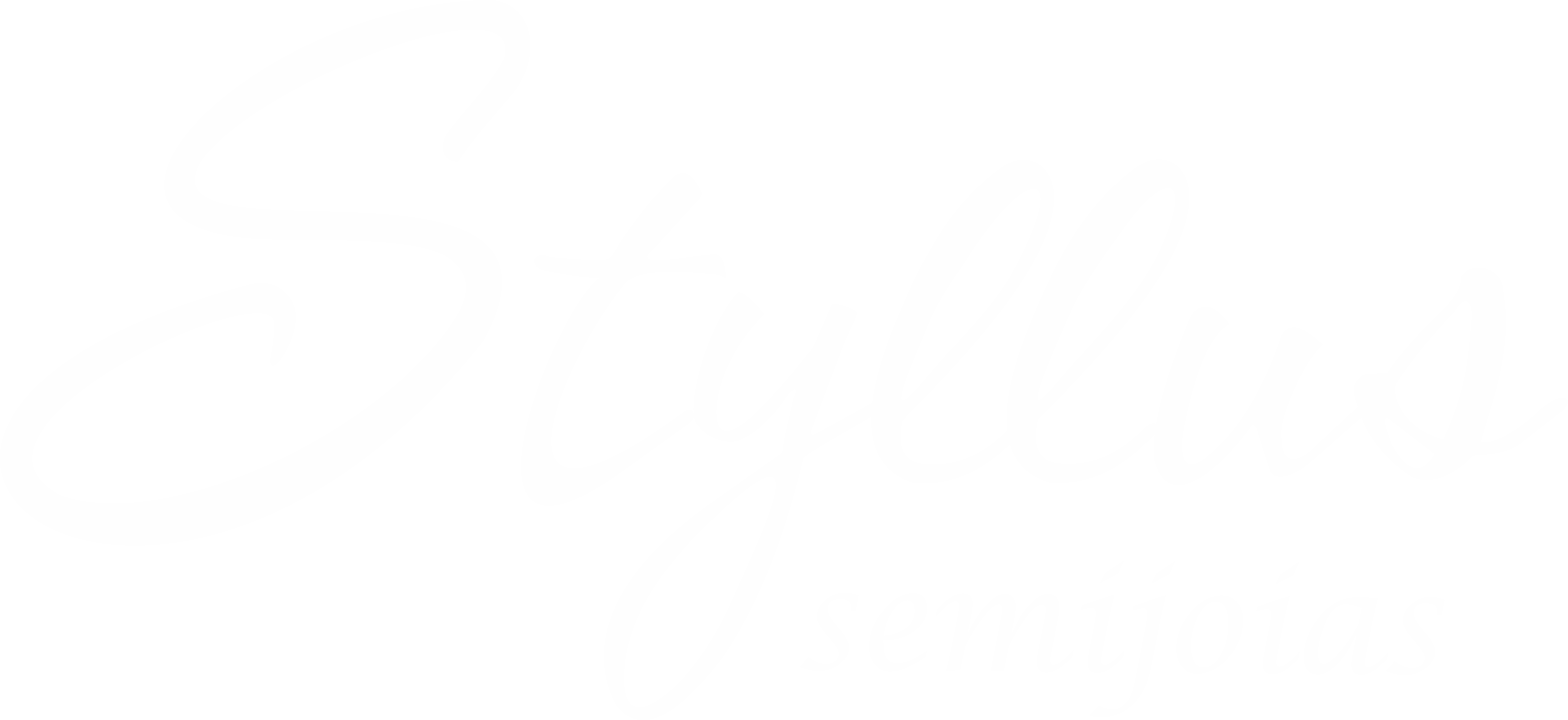 Styllus