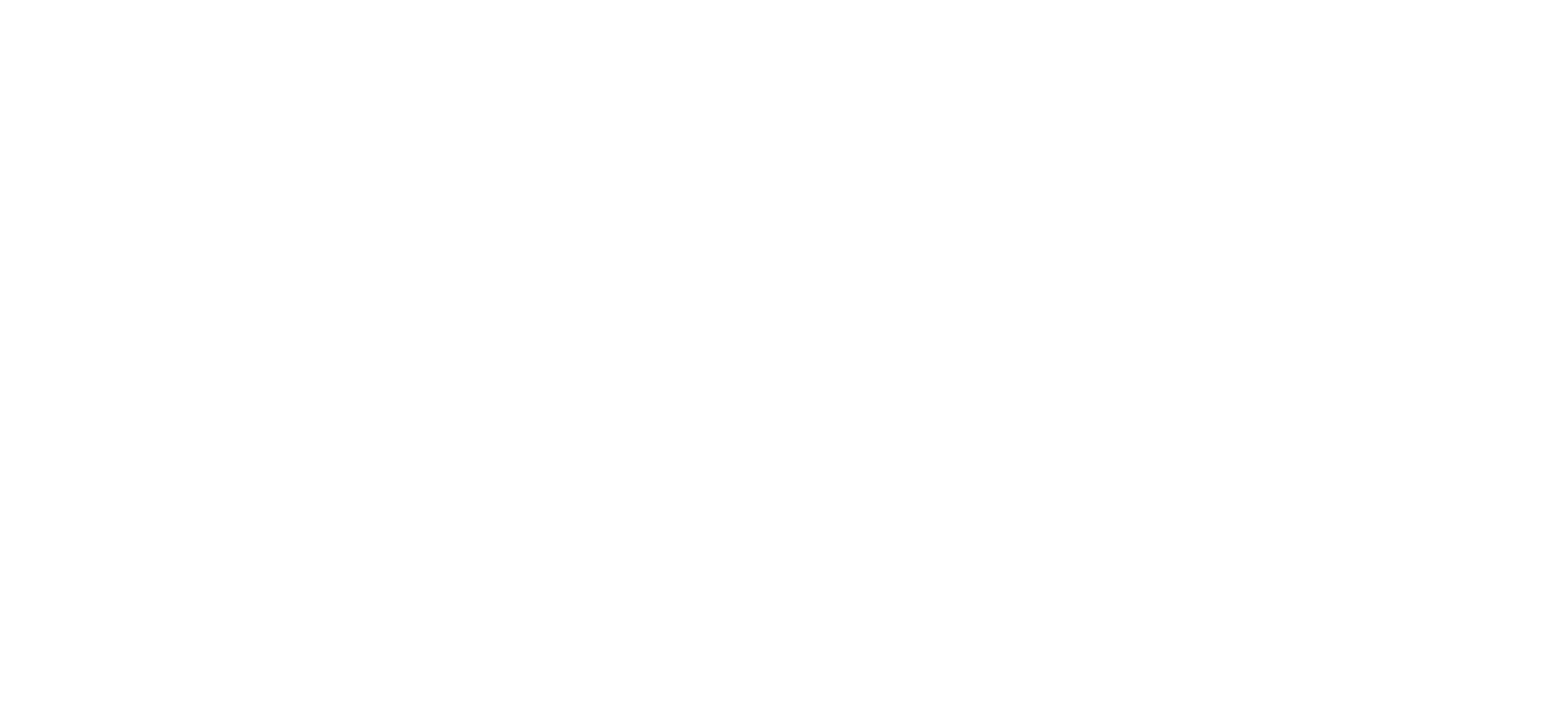 Logo Styllus